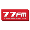 undefined 77 FM