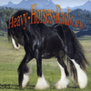 undefined Heavy Horses Radio