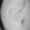 undefined audimaxx