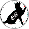undefined bluetonicbeats