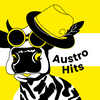 undefined Life Radio Austro Hits