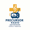 undefined Precursor radio