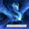 undefined Radio-White-Dragon