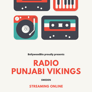 Punjabi Vikings 