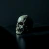 undefined 101% Heavy Music by The Finer Tunes