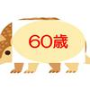 undefined 60歳のアルマジロ