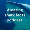undefined Amazing shark facts podcast (for kids or adults)!