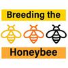 undefined Breeding the Honeybee