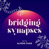 undefined Bridging Synapses