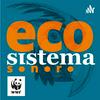 undefined Ecosistema Sonoro