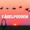 undefined Fågelpodden