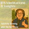 undefined Internal Family Systems (IFS) Meditations and Insights: Faithfully Growing with Tim Fortescue