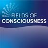 undefined Fields of Consciousness