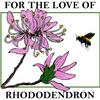 undefined For the Love of Rhododendron