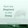 undefined From the Shepherd to the Sheep