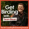 undefined Get Birding