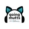 undefined Going Mutts with The Little Black Dog Rescue Group