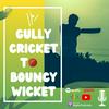 undefined Gully Cricket to Bouncy Wicket