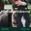 undefined Hästveterinärerna