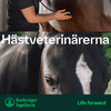 undefined Hästveterinärerna