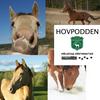 undefined Hovpodden
