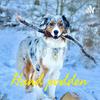 undefined Hund podden