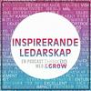 undefined Inspirerande Ledarskap