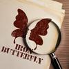 undefined Iron Butterfly