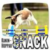 undefined KaninHopparSNACK