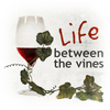 undefined Life Between the Vines