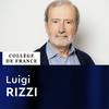 undefined Linguistique générale - Luigi Rizzi