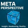 undefined Meta Perspective