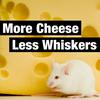 undefined More Cheese Less Whiskers