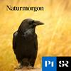 undefined Naturmorgon