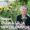undefined ODLA OCH SÄLJA SNITTBLOMMOR - PODDEN