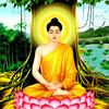 undefined Pháp Âm Phật Học