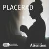 undefined Placerad
