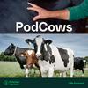 undefined PodCows (SE)
