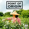 undefined Point of Origin