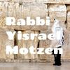 undefined Rabbi Yisrael Motzen - Ner Tamid Congregation