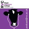 undefined Research Podcasts  – Veterinary Science on the Move