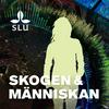 undefined Skogen & Människan