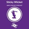 undefined Sticky Wicket