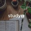 undefined Study+