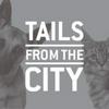 undefined TAILS from the CITY