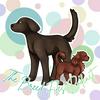 undefined The Breed Files