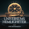 undefined Universums Hemligheter
