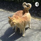 Podcast 2 kool 4 skool 😎