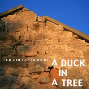 Podcast A Duck in a Tree
