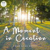 Podcast A Moment in Creation with KFUO Radio